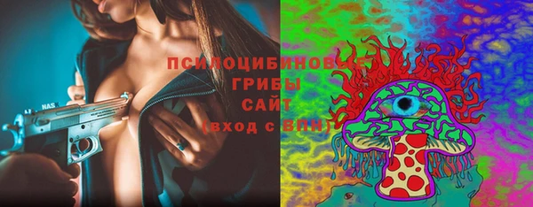 PSILOCYBIN Волосово